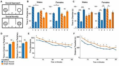 Altered Behavior in Mice Socially Isolated During Adolescence Corresponds With Immature Dendritic Spine Morphology and Impaired Plasticity in the Prefrontal Cortex